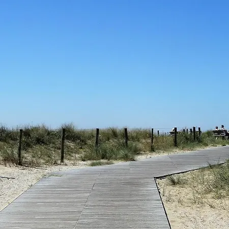 Beachhouse Anna, 1 Minute Walk To The And Centre Of Katwijk, Free Private Parking Next To The House ! *