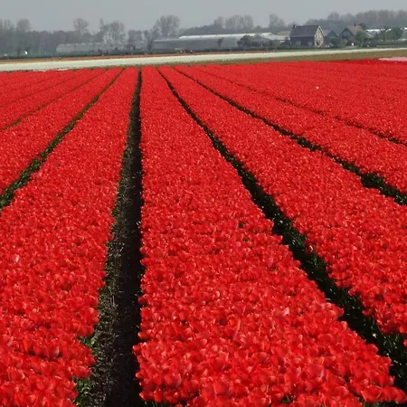 公寓 Beachhouse Anna, 1 Minute Walk To The And Centre Of Katwijk, Free Private Parking Next To The House ! 滨海卡特韦克