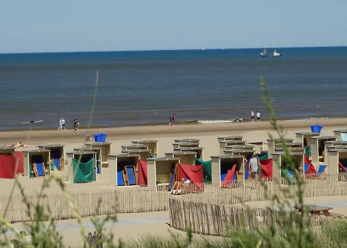 Beachhouse Anna, 1 Minute Walk To The And Centre Of Katwijk, Free Private Parking Next To The House ! Lejlighed *