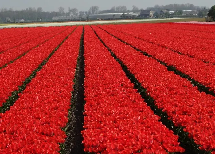 アパート Beachhouse Anna, 1 Minute Walk To The And Centre Of Katwijk, Free Private Parking Next To The House ! カトウェイク・アーン・ゼー